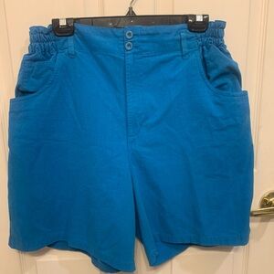 Vintage Gitano Women High Waisted Plus Size Aqua Shorts.       2468